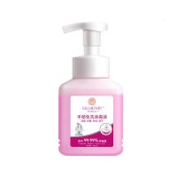 泡沫洗手液酒精消毒免洗抑菌凝胶儿童便携医护专用