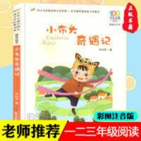 (精选注音书):小布头奇遇记 彩图注音 小布头奇遇记 孙幼军著正版书籍长江少年儿童出版社