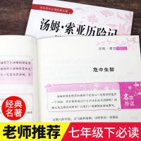 汤姆索亚历险记 鲁滨逊漂流记孙飘骑鹅旅行记正版汤姆索亚历险记六年级课外书必读