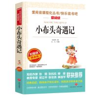 小布头奇遇记 大林小林小布头奇遇记吹牛大王历险记父与子中小学生课外书必读书