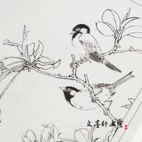 百禽画谱-中国画线描 百禽画谱 中国画线描/王健/白描禽鸟翎毛图集 花鸟画底稿临摹范本