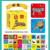 认识动物卡片... 宝宝看图识物认字卡片2岁宝宝早教书婴幼儿书籍早教启蒙认物大全