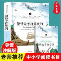 钢铁是怎样炼成的 正版钢铁是怎样炼成的 小学生初中版 全本无障碍阅读全译本课外书