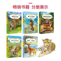 中外国动物小说品藏书系（第2辑）沈石溪精品集 鹰飞天地间 套装5