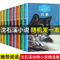 随机发一本 完整版 正版沈石溪动物小说系列全集狼王梦小学生必读三四五六年级课外书