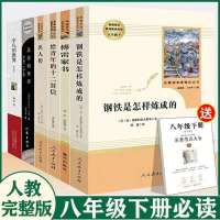 人教版 [给青年的十二封信]赠考点 傅雷家书钢铁是怎样炼成的名人传原著人教版八年级下册初二名著书