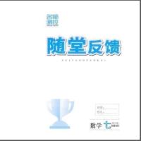 2021春名师测控7七年级下册数学北师版BS随堂反馈单元达标卷答案