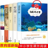 随机1本 不指定 海底两万里 老人与海 骆驼祥子 城南旧事 假如给我三天光明