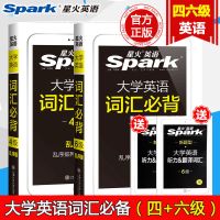 4+6词汇 英语四级2021备考资料全套星火大学四级考试英语真题试卷四级词汇