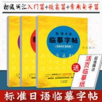 基础日语练习册 标准日语临摹字帖入门篇+初级词汇提高篇常用句子篇3册日语五十音