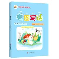 二年级上下册 上册 看图写话二年级拼音专项训练上下册共2本同步人教彩绘注音版小学