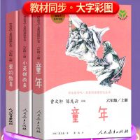 人教版 童年 小英雄 爱的教育 3册 课本里的大师呼兰河传昆虫记人教版童年爱的教育假如给我三天光明