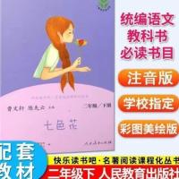 人教快乐读书吧二年级下册课外书 七色花 全套5册 小学生快乐读书吧二年级下册 课外必读阅读书籍 神笔马良