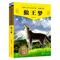 狼王梦 烟台四年级下册必读书城南旧事狼王梦万物简史少儿版多种规格可选