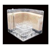 沙巢*1 送20弓背蚁-不含蚁后 蚂蚁巢穴 沙雕蚁巢 送蚂蚁 蚂蚁饲养盒子 蚂蚁帝国城堡蚂蚁工坊