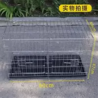 鸽子笼大号家用折叠带隔断鸽笼配对养殖繁殖笼子鸽子用具鸽棚鸽舍