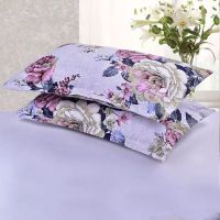 宁静淡雅 枕套一个(实发枕套一个不含枕芯) 棉枕套一对成人情侣大号48*74枕头套单人加大加厚学生枕芯套枕巾