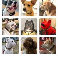 深黑色(单排钉) XXS-宽1.2CM 长21-27CM(8斤以下) 铆钉法斗项圈防咬项链狗链霸气脖圈颈圈恶霸犬英国斗牛