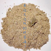 纯天然观景海沙500克 生态泥迷你辣椒蟹宠物蟹寄居蟹霸气将军蟹打洞泥原生态