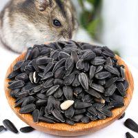 黑瓜子100克/袋 买就送粮食铲 宠物活体西班牙睡鼠幼崽拇指睡鼠活体微型龙猫学生宿舍好养小粮食