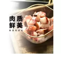图片色 尚巧厨 一休屋章鱼烧鱿鱼粒300g 小丸子料理材料冷冻切粒八爪足粒
