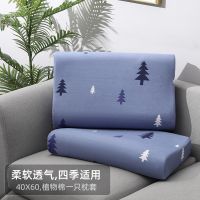 植物棉-快乐森林 30X50X10【1只枕套不含枕芯】 冰丝乳胶枕套40x60成人一对装儿童30X50单个人一只可爱天丝