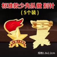 少先队徽别针 5枚 少先队队徽标准款胸章校徽中国少先队徽中小学生通用徽章磁铁别扣