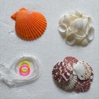 小黄扇贝（白色）材料包（散品） 创意手工制作天然贝壳风铃材料包diy女生礼物儿童挂饰门吊饰卧室