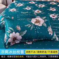 暗香兰指（高品质可机洗） 48*74cm冰丝凉感枕套1只 南极人冰丝席枕套夏天枕头套一对装简约冰丝凉爽单双人柔软丝滑
