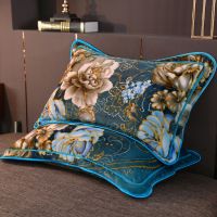 绿野仙踪（枕套） 金貂绒枕套1只 加厚金貂绒枕套一对冬季学生宿舍单人法兰绒珊瑚绒法莱绒枕套一个