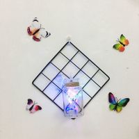 网片+空瓶子+彩灯蝴蝶 客厅卧室墙上房间装饰品ins 创意挂花墙饰挂件免打孔餐厅墙面壁挂