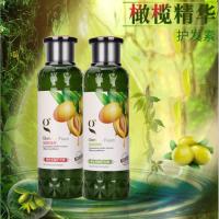 橄榄弹性丰盈护发素500ml 伴柔橄榄精油护发素柔顺丝质顺滑护发乳 滋润养发补水护发素