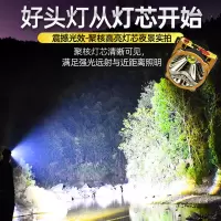 电量显示【正白色光】可充手机 普通【加亮T6灯芯】20小时续航 茗芯德LED头灯强光远射可充电防水头戴式夜钓灯矿灯户外超