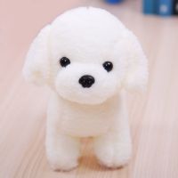 小白犬 2号长24cm*高24cm 毛绒玩具狗狗白色可爱小泰迪布娃娃公仔玩偶小狗儿童生日礼物女生