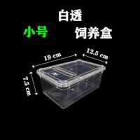 小号白透饲养盒 螃蟹缸 养 专用六角宠物鱼乌龟专用水陆两用鱼缸家用大型特大超大