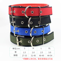 单独泡棉项圈 S-建议10斤内[收藏送铃铛] 宠物铁链狗狗牵引绳泰迪猫遛狗绳防咬断狗链子小型中型大型犬项圈