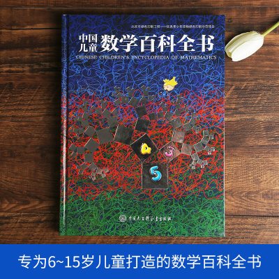 中国儿童数学百科全书精装6-12岁中小学生数学课外读物奇妙的数学有趣的经典数学系列训练从小爱数学课外读物书籍中国版dk