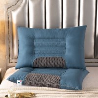 磁疗宝石蓝 一只装 决明子枕头护颈椎枕一只装一对装成人学生家用单人宿舍助睡眠枕芯