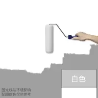 500g白色 其他 水性硅藻泥涂料硅藻乳电视背景墙乳胶漆墙面漆吸音去甲醛安全环保