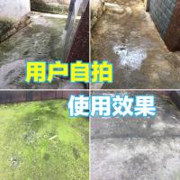 青苔去除剂水泥地面专用青苔克星神器墙面苔藓藻类青苔杀除清除剂