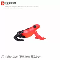 红色赤道青蛙 仿真青蛙玩具小蝌蚪动物模型牛蛙田鸡树蛙蛤蟆儿童科教道具礼物