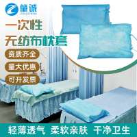 医用枕套 10个(第二件半价) 40cmX60cm 一次性无纺布枕套医护用加厚无纺布旅行隔脏防水单人枕头套10个装