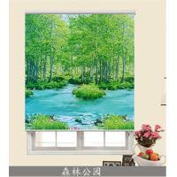 墨绿色 森林公园半遮光 手拉帘遮光免打孔风景卷帘布升降卫生间防水遮阳百叶窗帘卧室家用