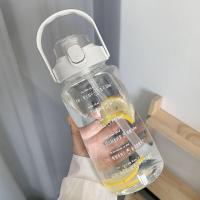 杯子壑-普通款600ml(很小不推荐) 带吸管大容量喝水杯男女学生夏天用潮流塑料杯子户外便携式水瓶壶