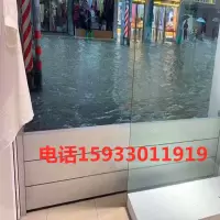 防汛防洪防台风防淹挡水板阻水墙防洪闸门移动式地下车库家用隔水