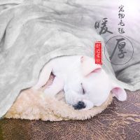 颜色随机关注店铺先发货 小号:50*70cm(普通款) 猫垫子睡觉用毛绒宠物毯子盖毯狗狗被子冬季加厚小毛毯窝垫法兰绒