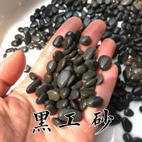 黑工砂M号3斤 鱼缸底沙造景原生水陆缸乌龟黑工砂越南沙国斗鳌虾养斗3斤