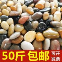 淘惠南京雨花石天然鹅卵石铺路五彩石园林造景鱼缸装饰花盆石头子