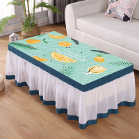 Holle夏天 适合家具面宽50*长100CM左右 北欧桌布布艺防水长方形茶几布套餐桌垫台布书桌电视柜防尘罩盖布
