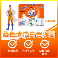 威猛先生洁厕宝洁厕灵蓝泡泡去污除臭味清香型马桶清洁剂球洁厕块